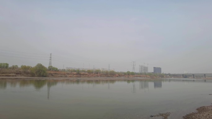 4K高清实拍渭河湿地公园