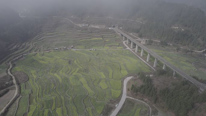 航拍高铁经过油菜花菜地D-log素材