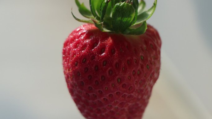 带水珠的草莓