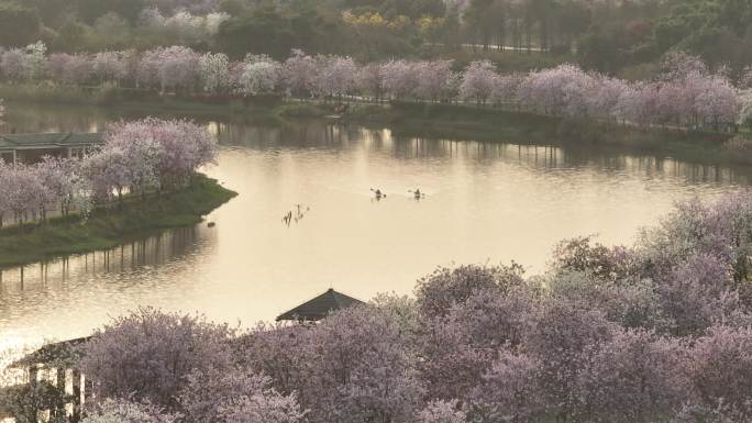 【正版原创】广州海珠国家湿地公园