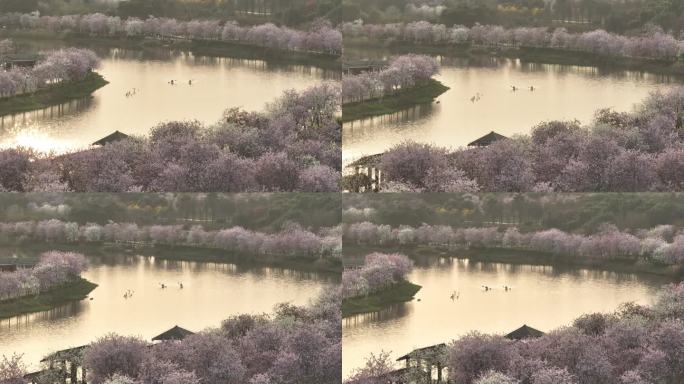 【正版原创】广州海珠国家湿地公园