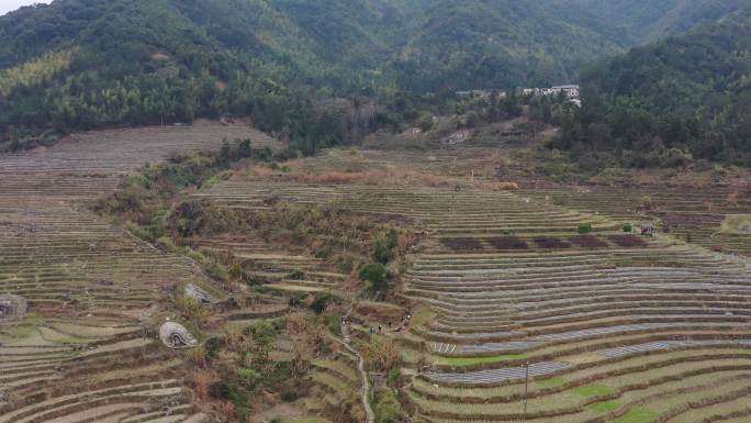 福建永定初溪土楼群