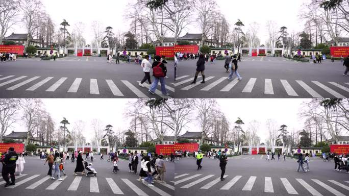 南京市政府大门前人流延时视频