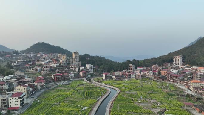 航拍乡村田园油菜花田