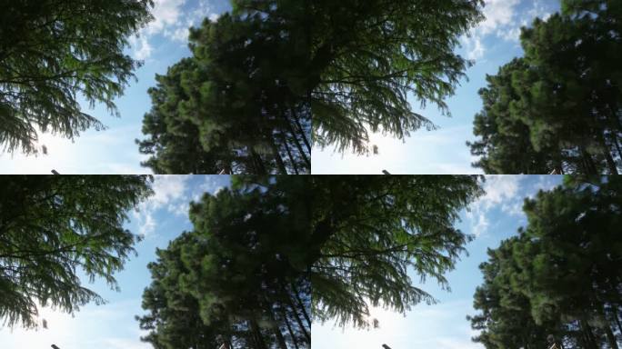 5k夏季蓝天白云树林间镜头