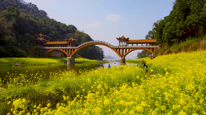 四川省乐山市麻浩湿地公园油菜花延时视频