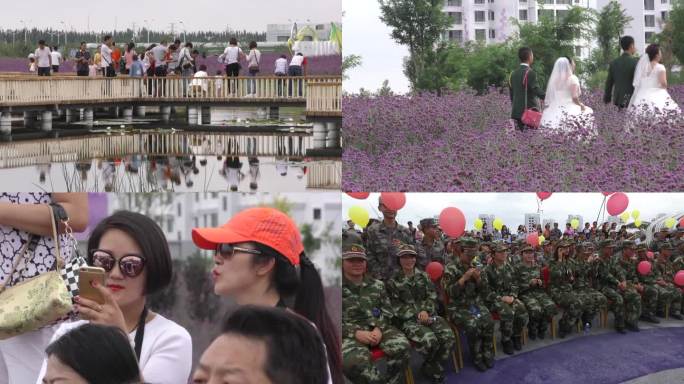 集体婚礼金昌旅游薰衣草基地军旅集体婚礼