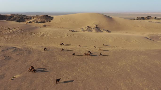 戈壁滩 沙漠 蓝天 恶略的生存环境