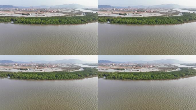 航拍福建漳州九龙江生态系统红树林种植