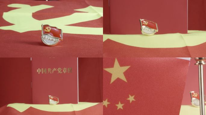18元党章党徽为人民服务红色主题