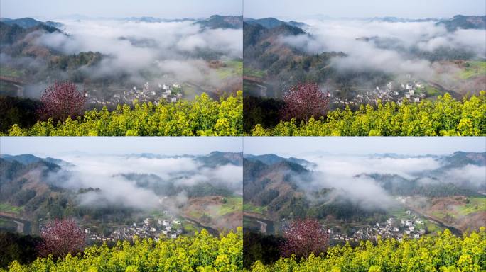 石潭油菜花期云海散去显露出山下村庄