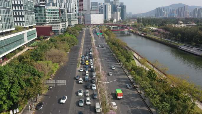 （4K）美丽深圳沙河西路城市生态