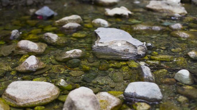 过河 采石头过河 摸石头过河  水源水体