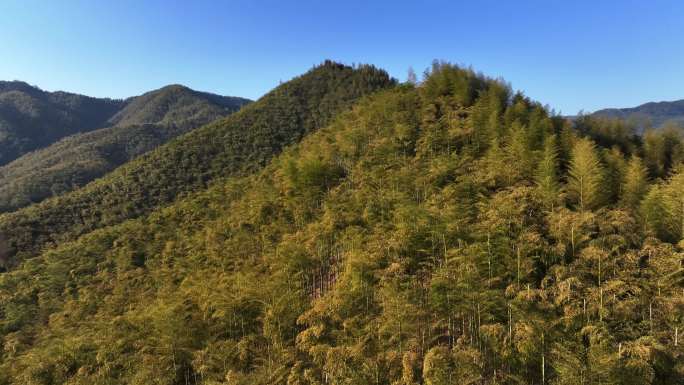 杭州余杭径山镇茶山茶园