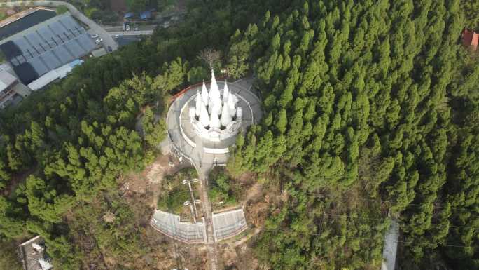 四川遂宁射洪市花果山白塔航拍