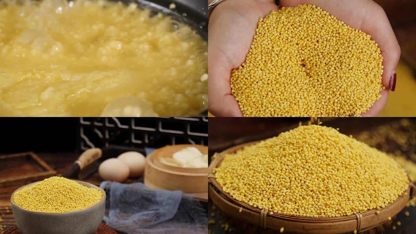 黄小米 大黄米