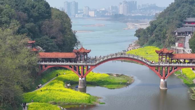 四川乐山市中区麻浩湿地公园油菜花航拍素材