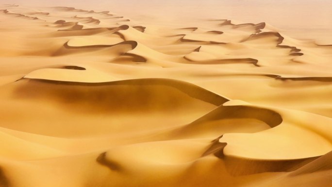 大漠风沙2