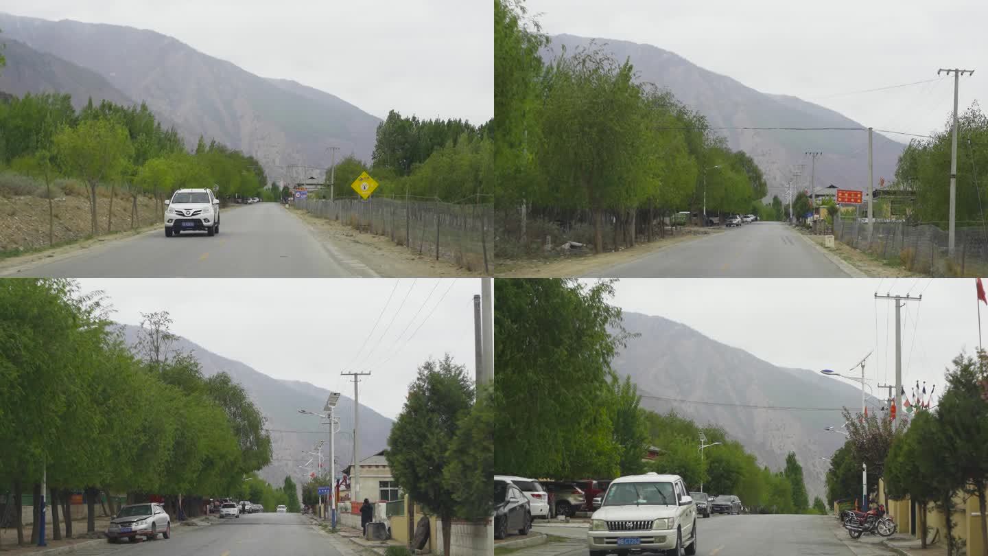 西藏自驾路两旁的柳树 开车行驶