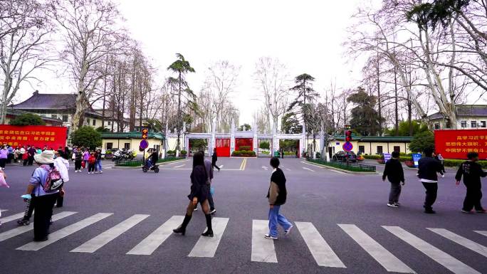 南京市政府门前、鸡鸣寺樱花大道延时视频