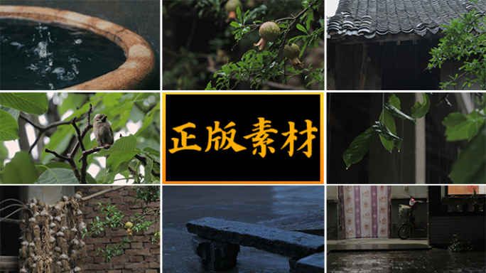 雨中的陕西农村院子【集锦】