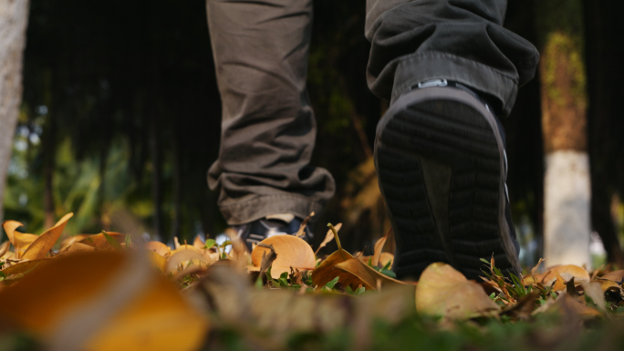 行走在树林中铺满黄色落叶的草地上脚步特写