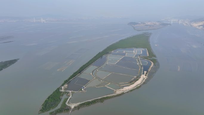 航拍福建漳州九龙江入海口大涂农场渔业养殖