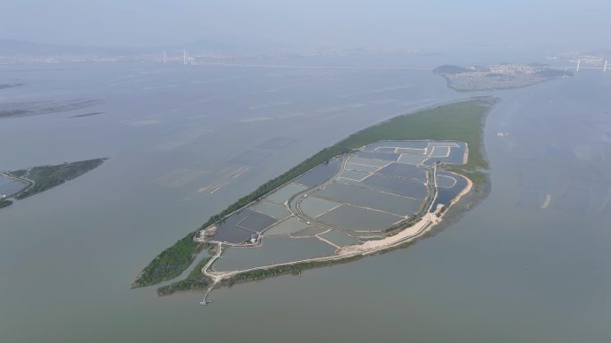 航拍福建漳州九龙江入海口海上农场渔业养殖