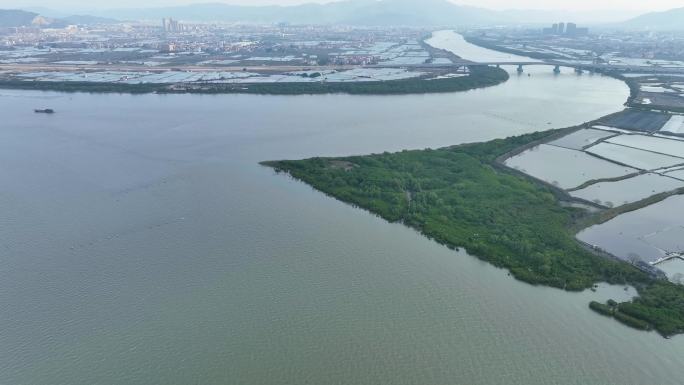 航拍福建漳州九龙江生态系统红树林湿地