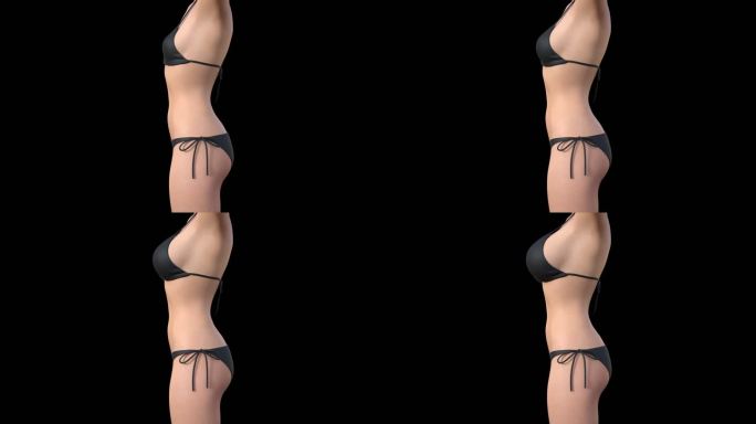 正侧面丰胸3D动画医学乳房变大带通道
