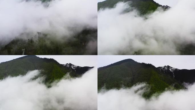 风光 森林 河流 云雾 晨光 辽阔