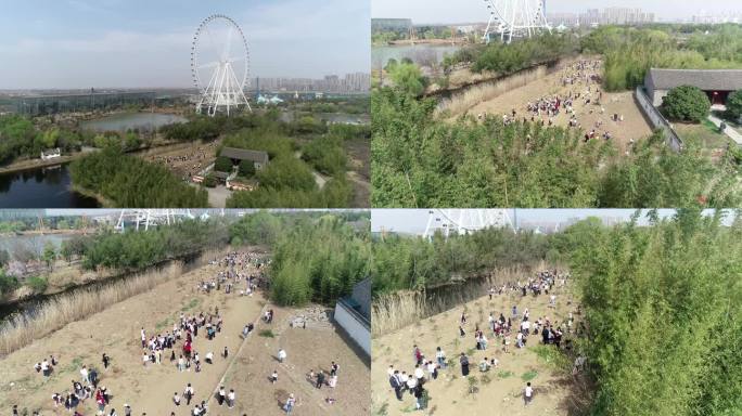 学生种树 学校开展植树节活动 航拍