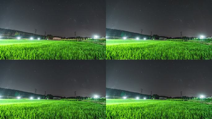 稻田上的星空