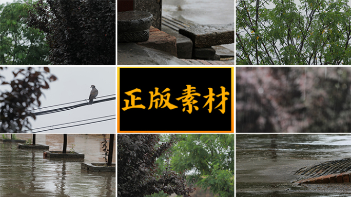 北方农村下雨各种雨景合集