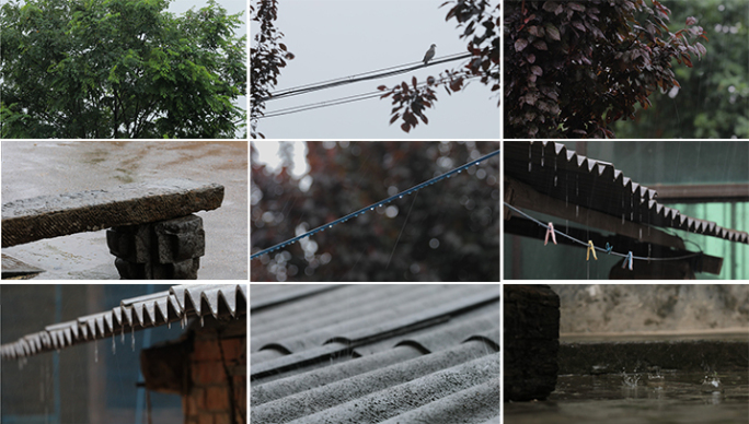 北方农村下雨各种雨景合集