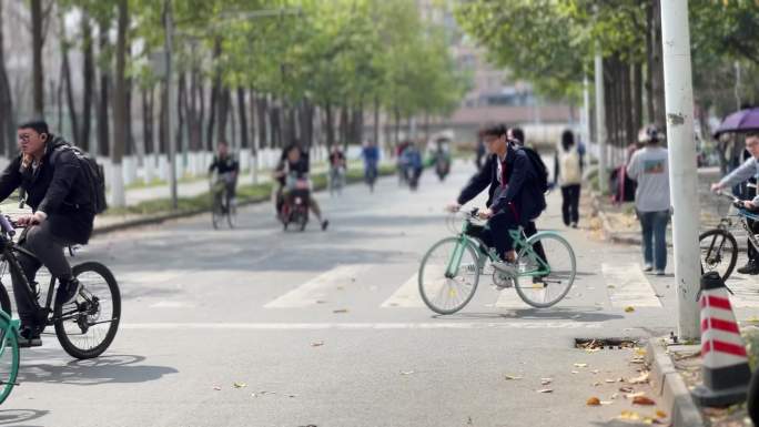 大学生活校园生活大学校园学生骑车上课下课