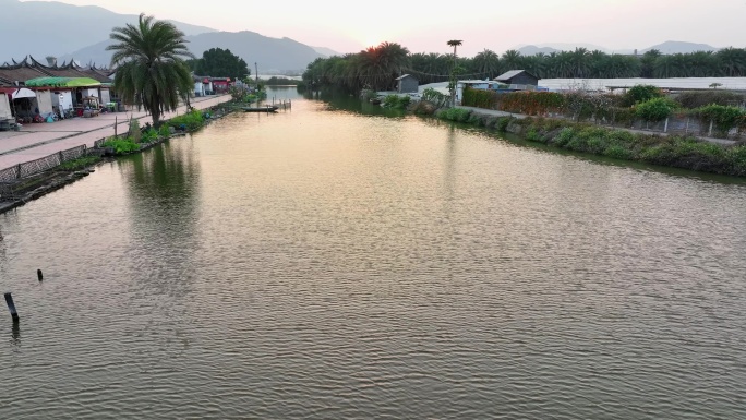 航拍福建漳州闽南古民居群埭美古村