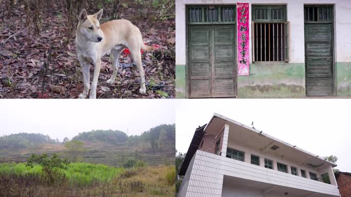 农村自建危房空置的楼房