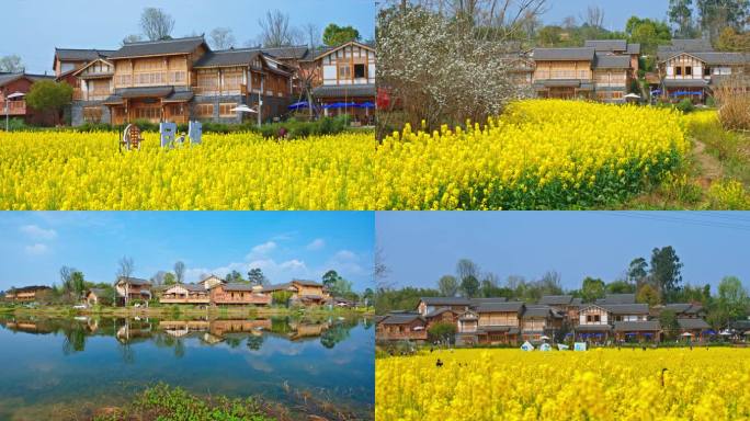 新农村田园风景实拍