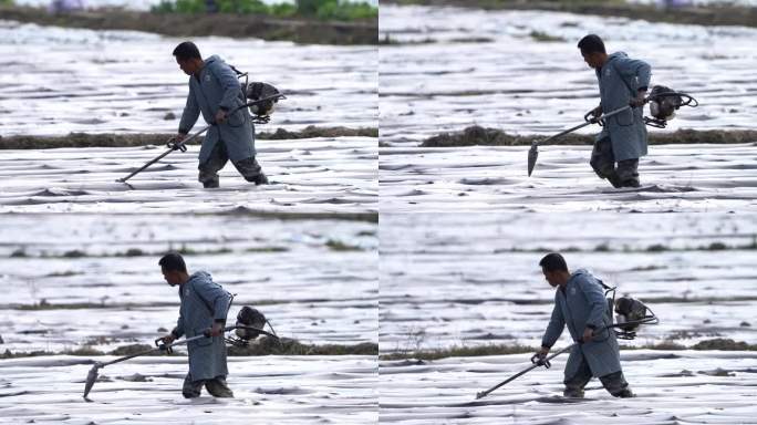 农民务农