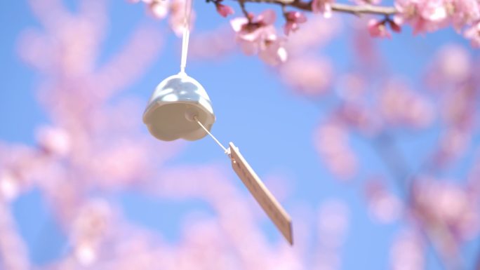 春天春分春暖花开万物生长延时风铃桃花