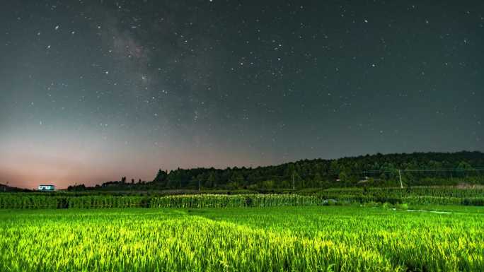 稻田上的银河