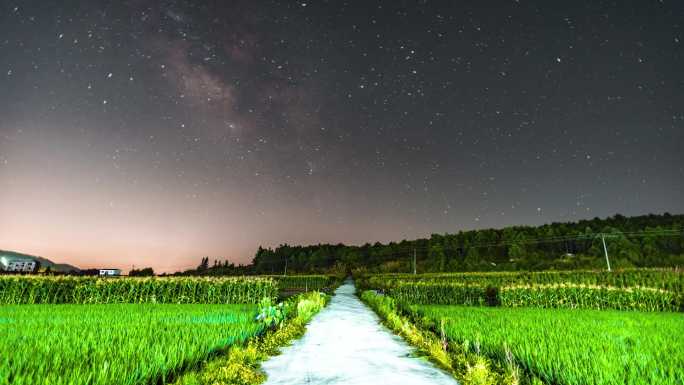 稻田上的银河