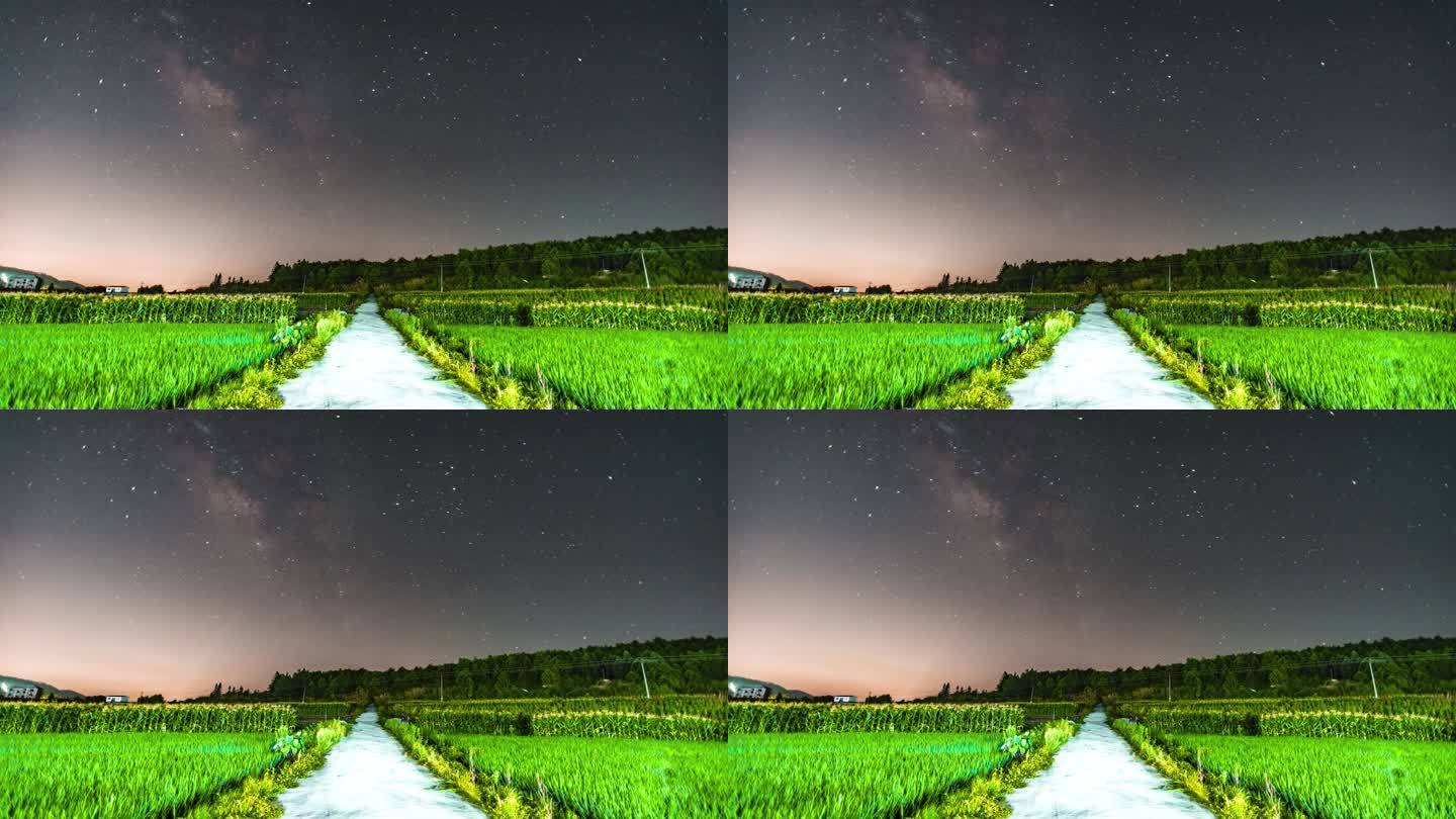 稻田上的银河