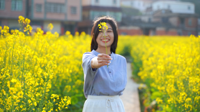 唯美小清新油菜花海里少女闻花香女孩抚摸花