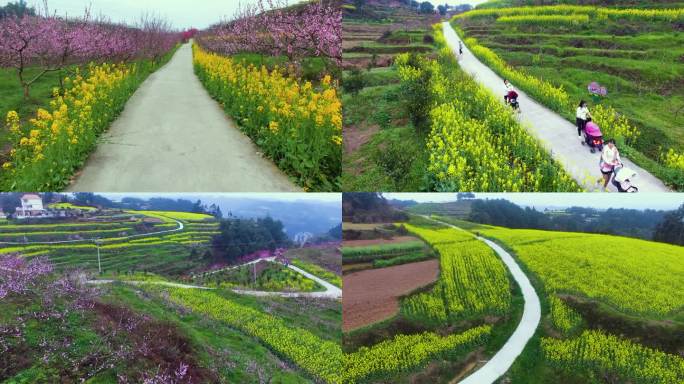 联盟村花，美丽乡村，乡村振兴