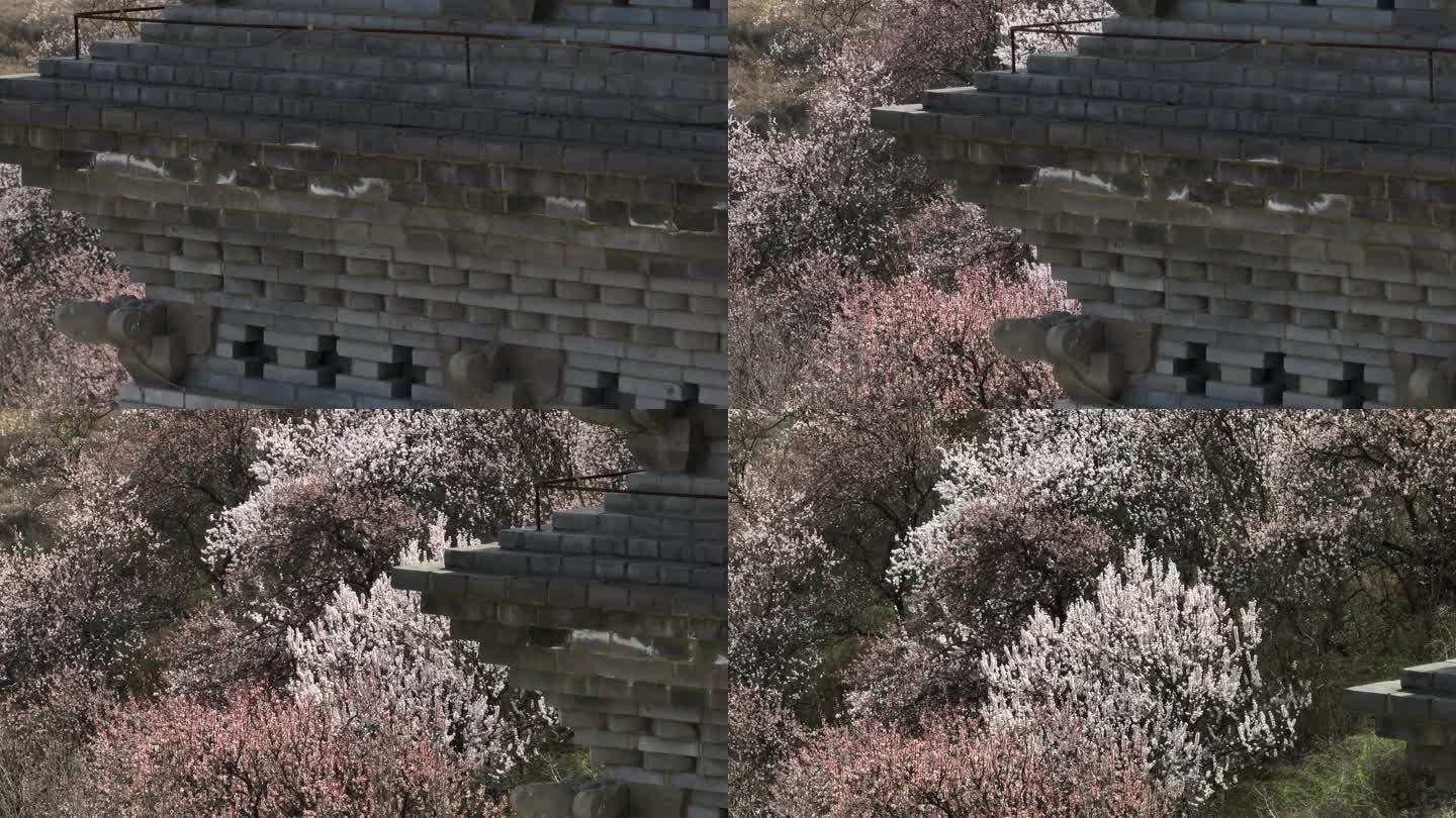 浐灞大阿弥陀寺陕西古寺西安旅游西安古建筑