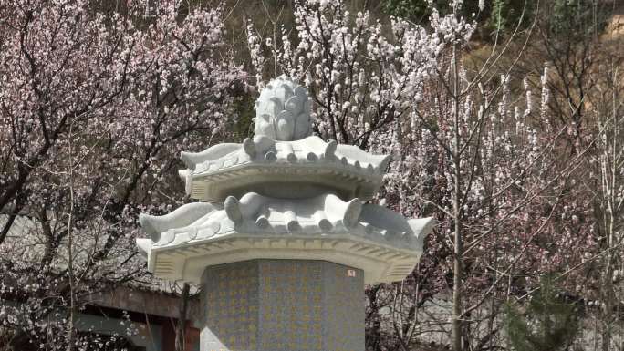 浐灞大阿弥陀寺陕西古寺西安旅游西安古建筑