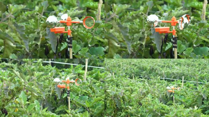 茄子种植 种植驱鸟器