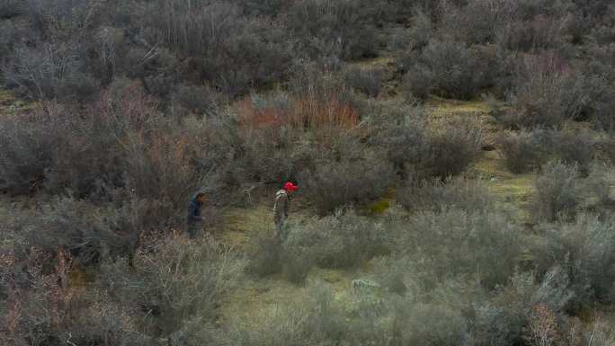 山上寻找牛和羊 山上放牧 高原护林员